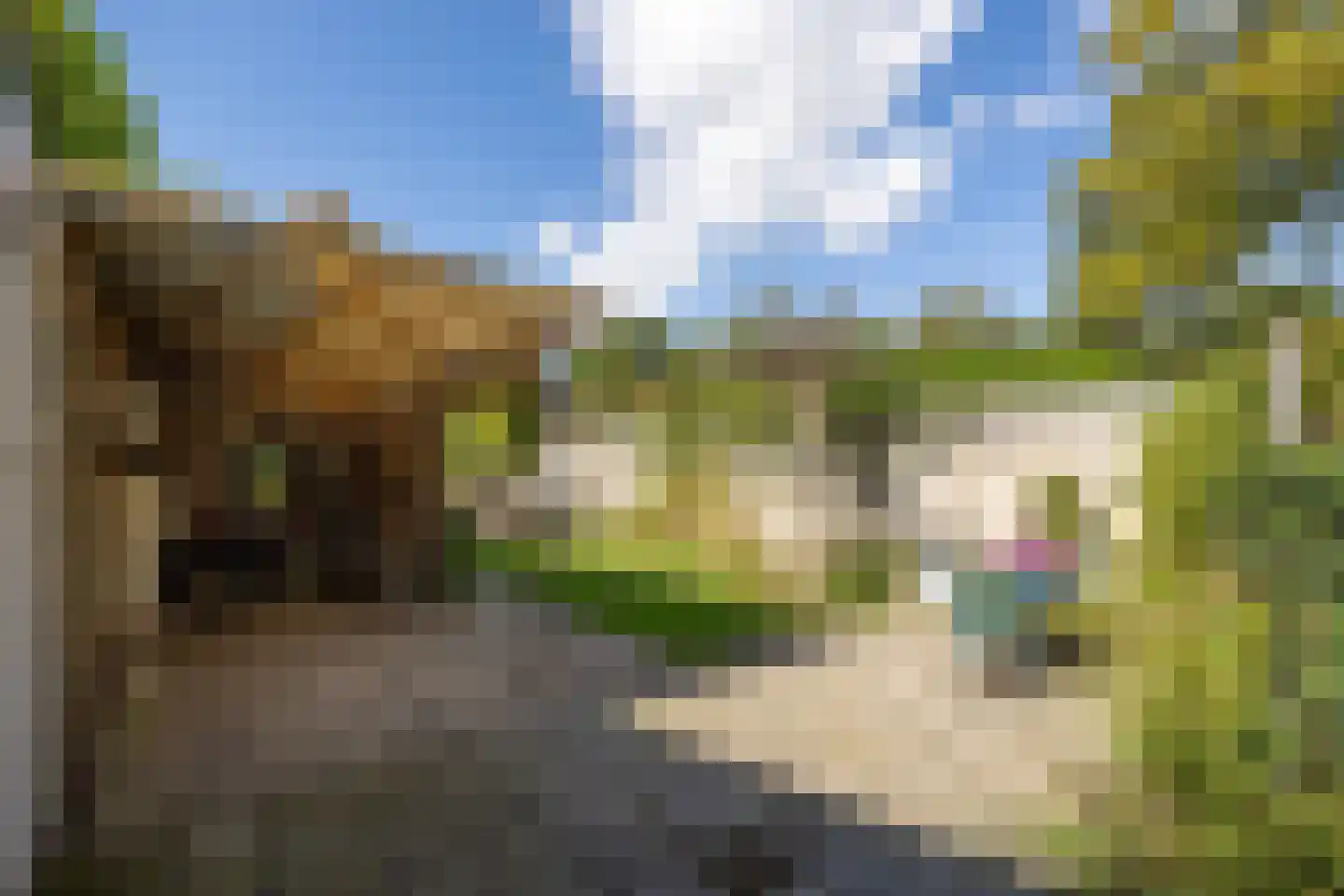 Koestraat 4 Vught thumbnail 50