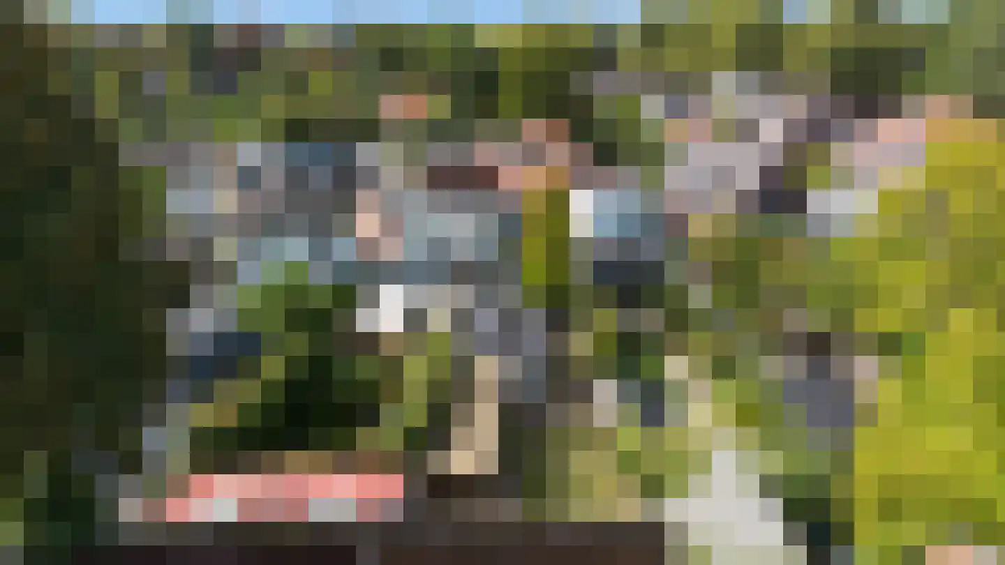 Koestraat 4 Vught thumbnail 8