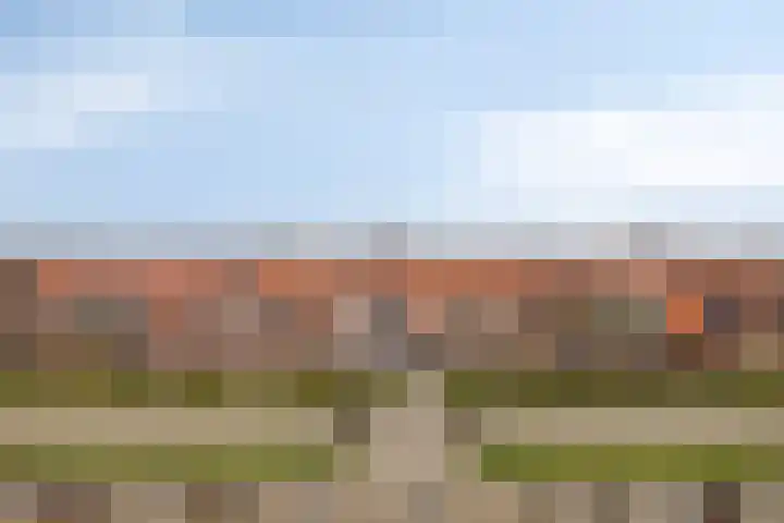 Koestraat 40 Westkapelle thumbnail 66