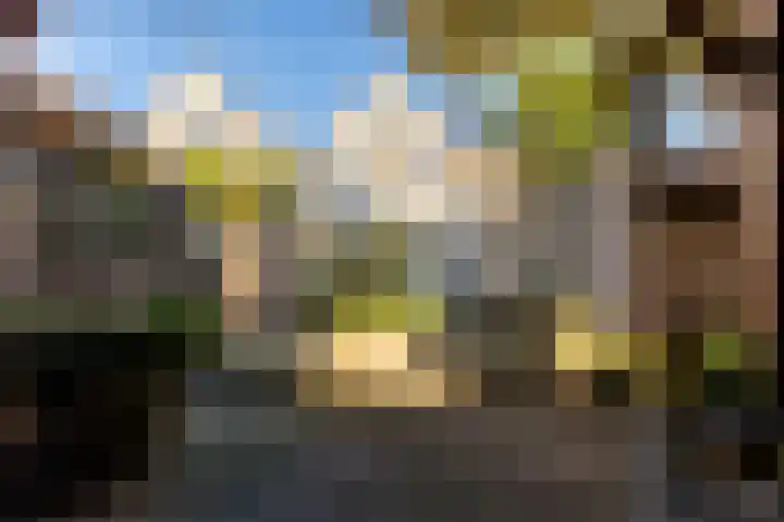 Koestraat 42 Schoonhoven thumbnail 4