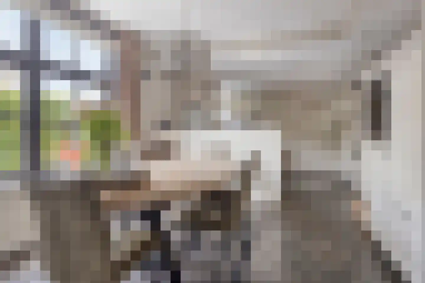 Koestraat 43 Oirschot thumbnail 13
