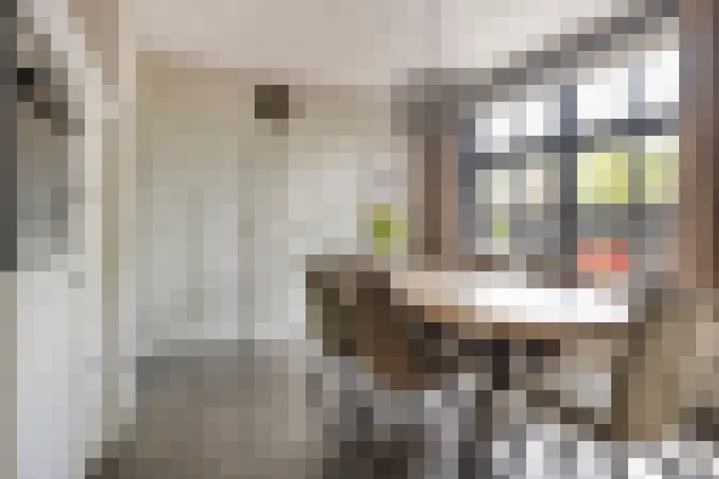 Koestraat 43 Oirschot thumbnail 14