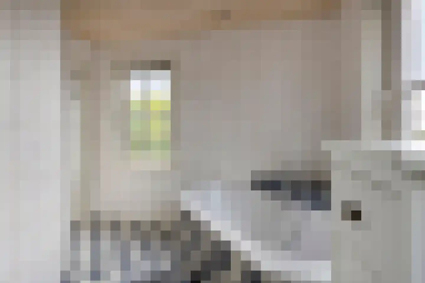 Koestraat 43 Oirschot thumbnail 33