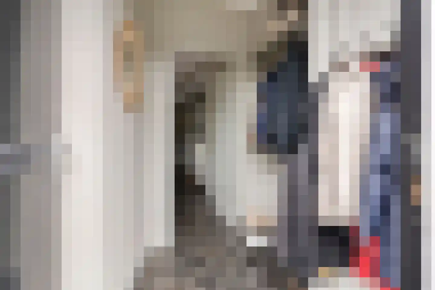 Koestraat 43 Oirschot thumbnail 4