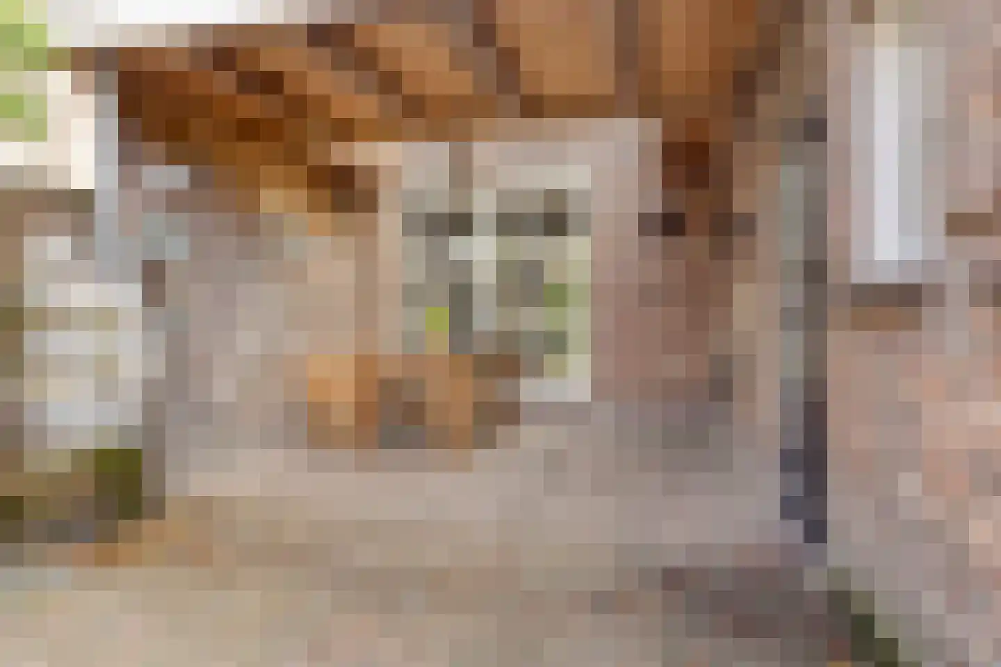Koestraat 43 Oirschot thumbnail 47
