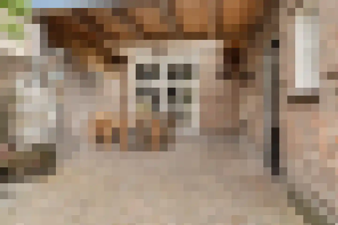 Koestraat 43 Oirschot thumbnail 48