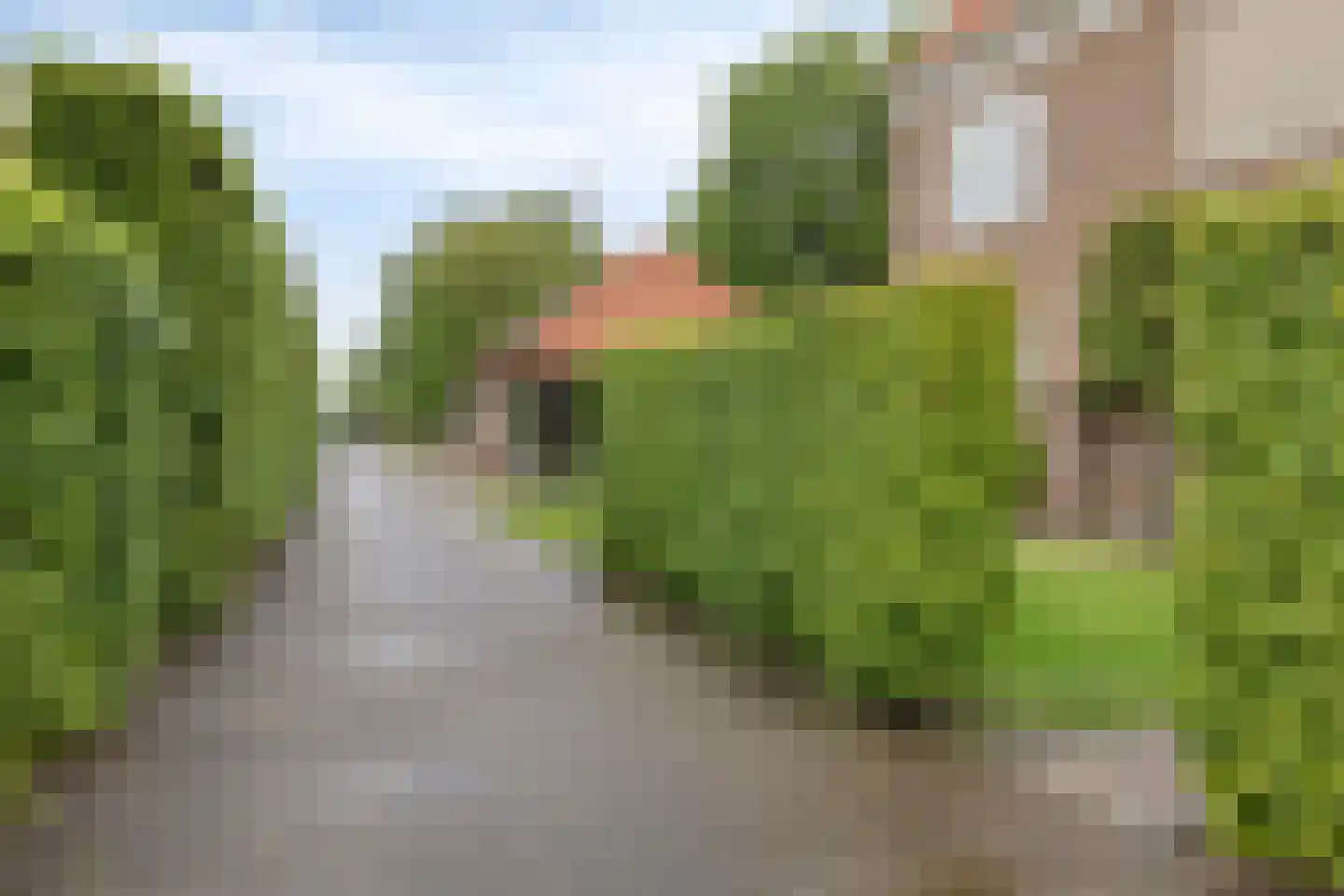 Koestraat 43 Oirschot thumbnail 54