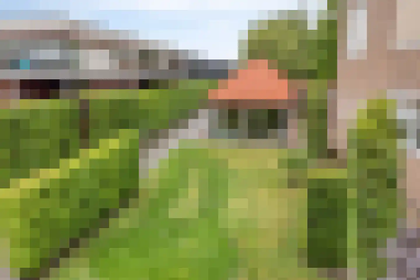 Koestraat 43 Oirschot thumbnail 62