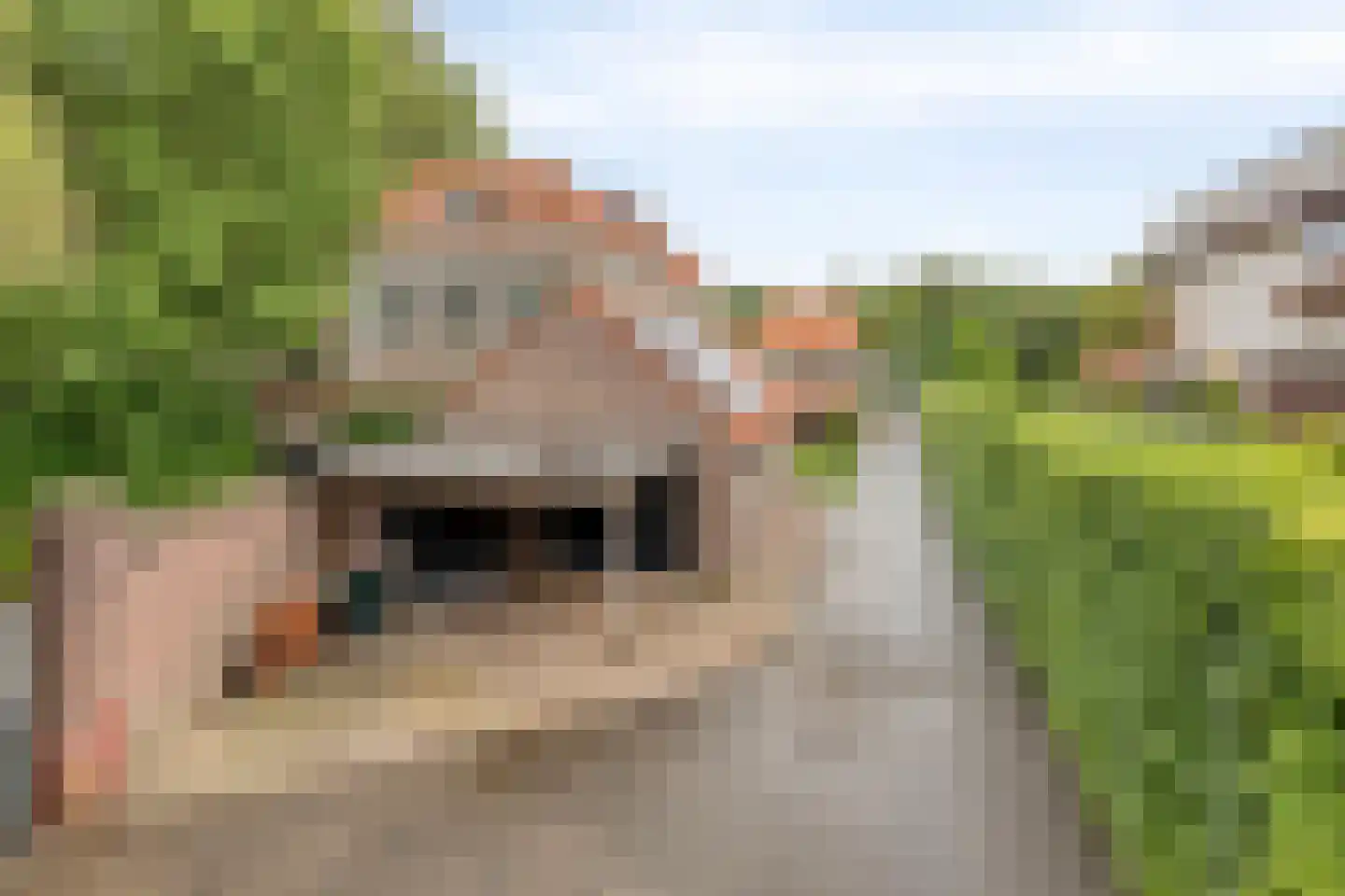 Koestraat 43 Oirschot thumbnail 65