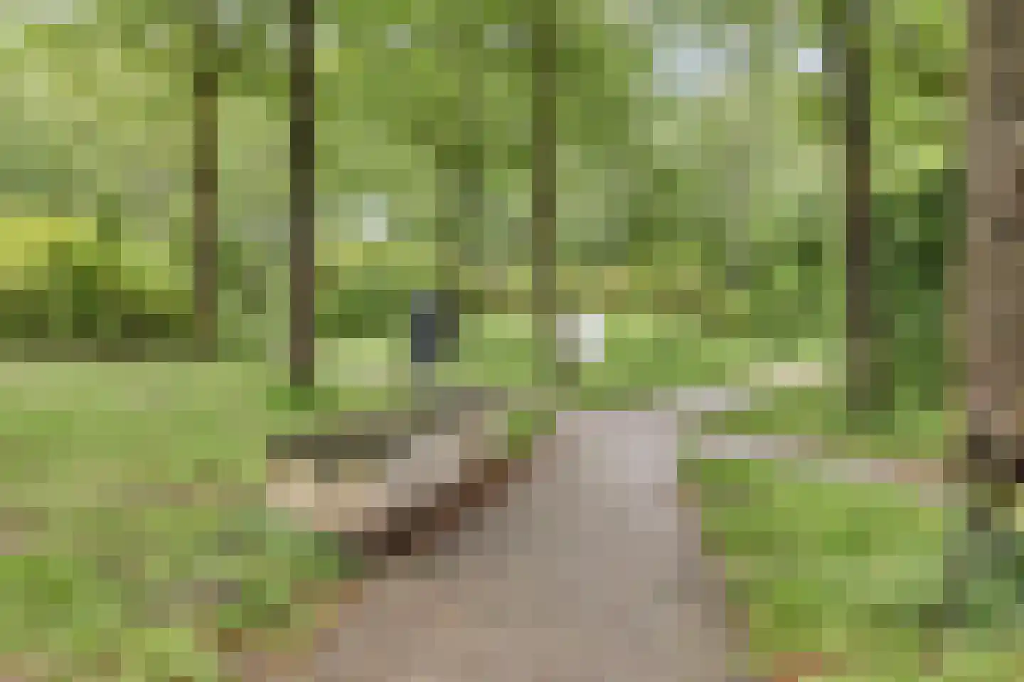 Koestraat 43 Oirschot thumbnail 71