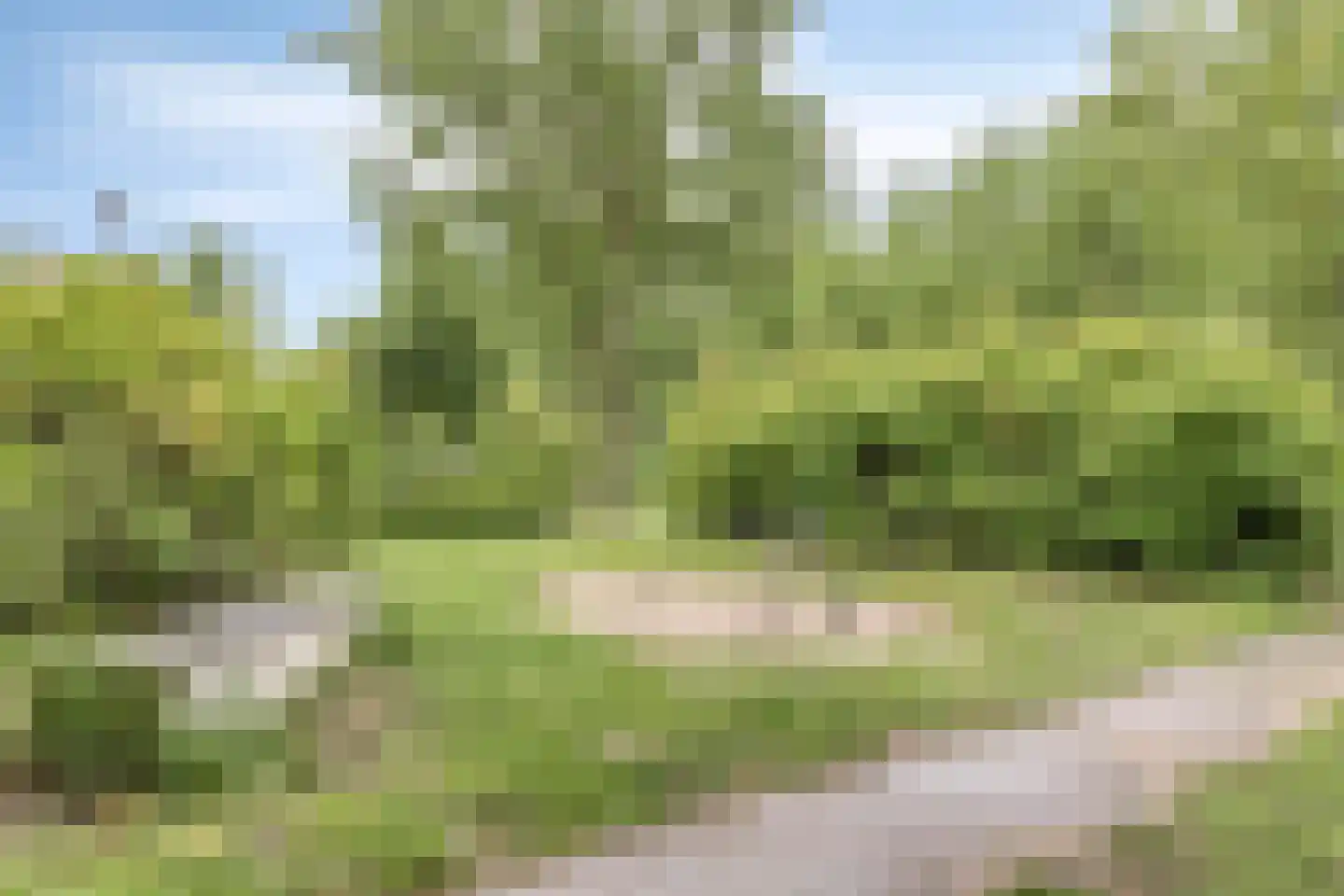 Koestraat 43 Oirschot thumbnail 72
