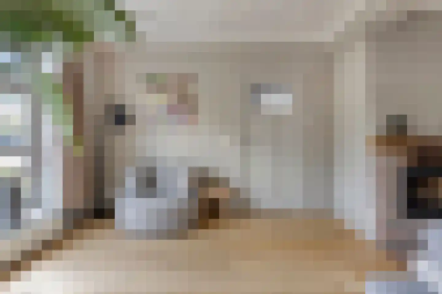Koestraat 43 Oirschot thumbnail 9