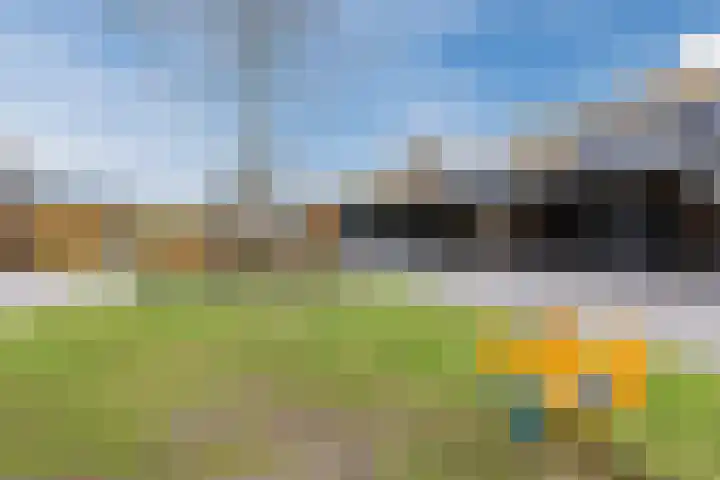 Koestraat 45 Asten thumbnail 34
