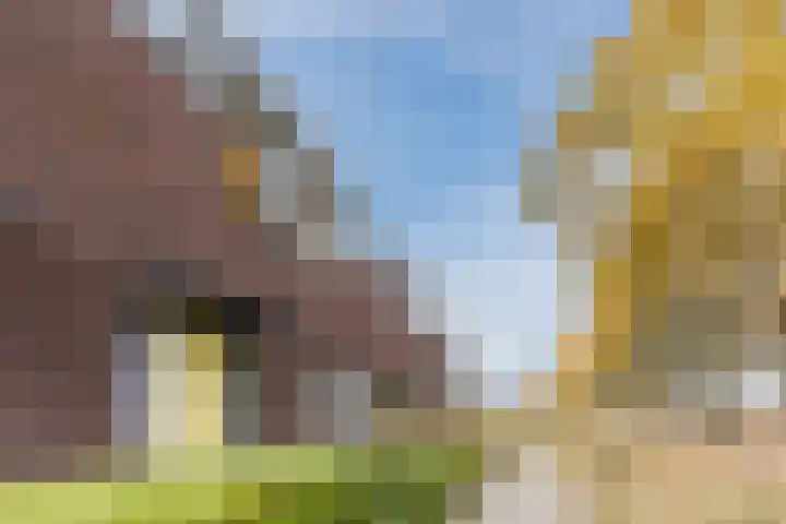 Koestraat 45 Asten thumbnail 35