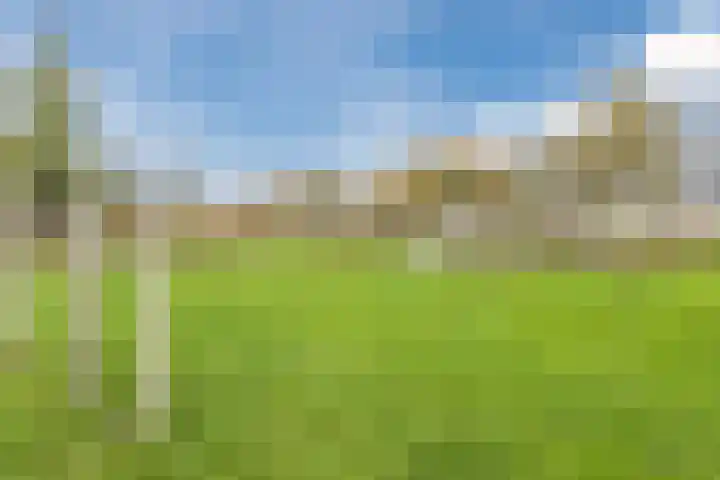 Koestraat 45 Asten thumbnail 38