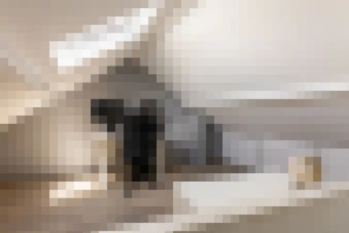 Koestraat 47 Schoonhoven thumbnail 33