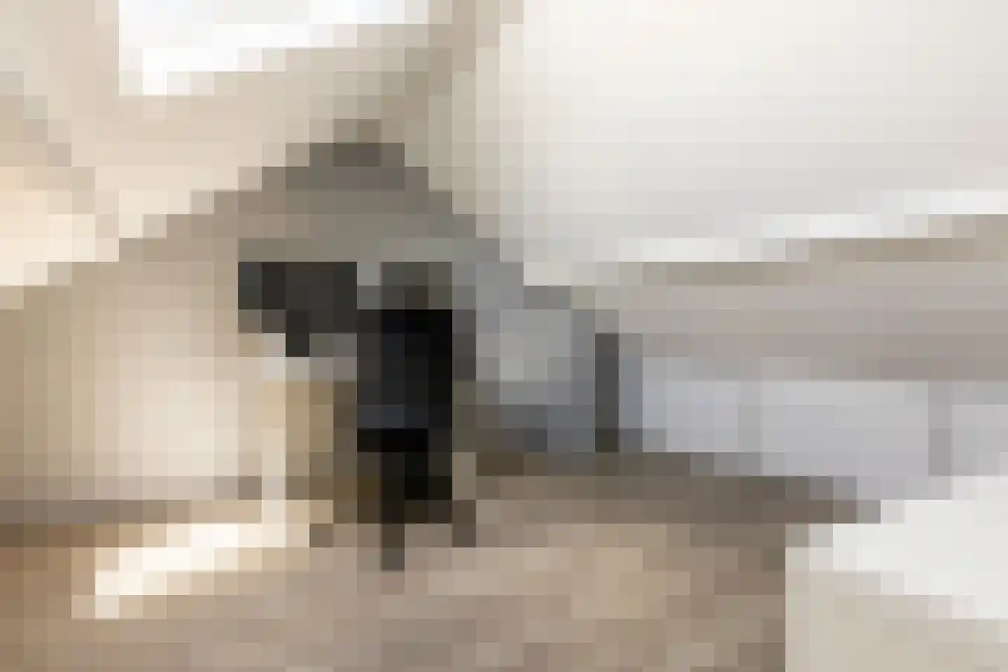 Koestraat 47 Schoonhoven thumbnail 34