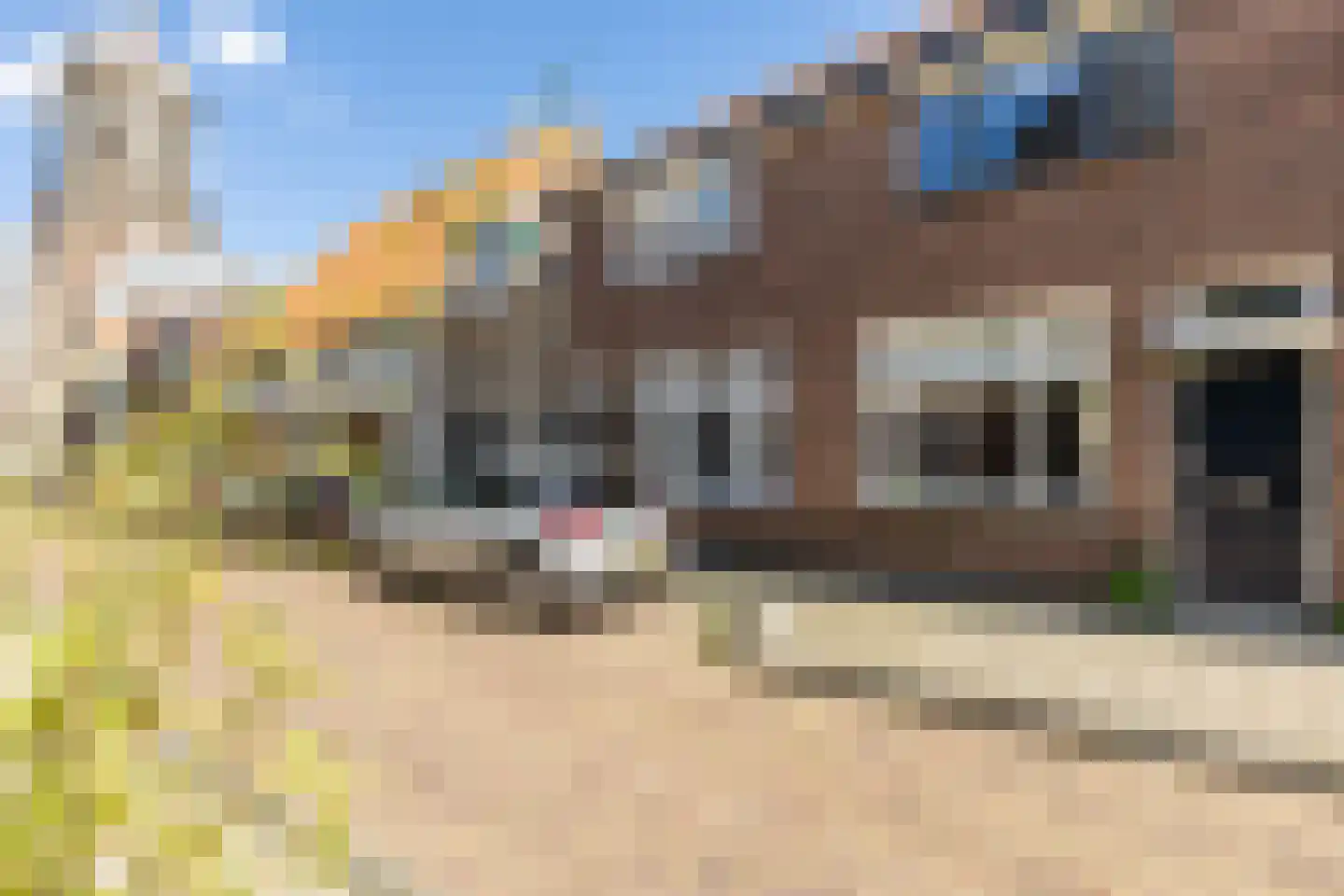 Koestraat 47 Schoonhoven thumbnail 44