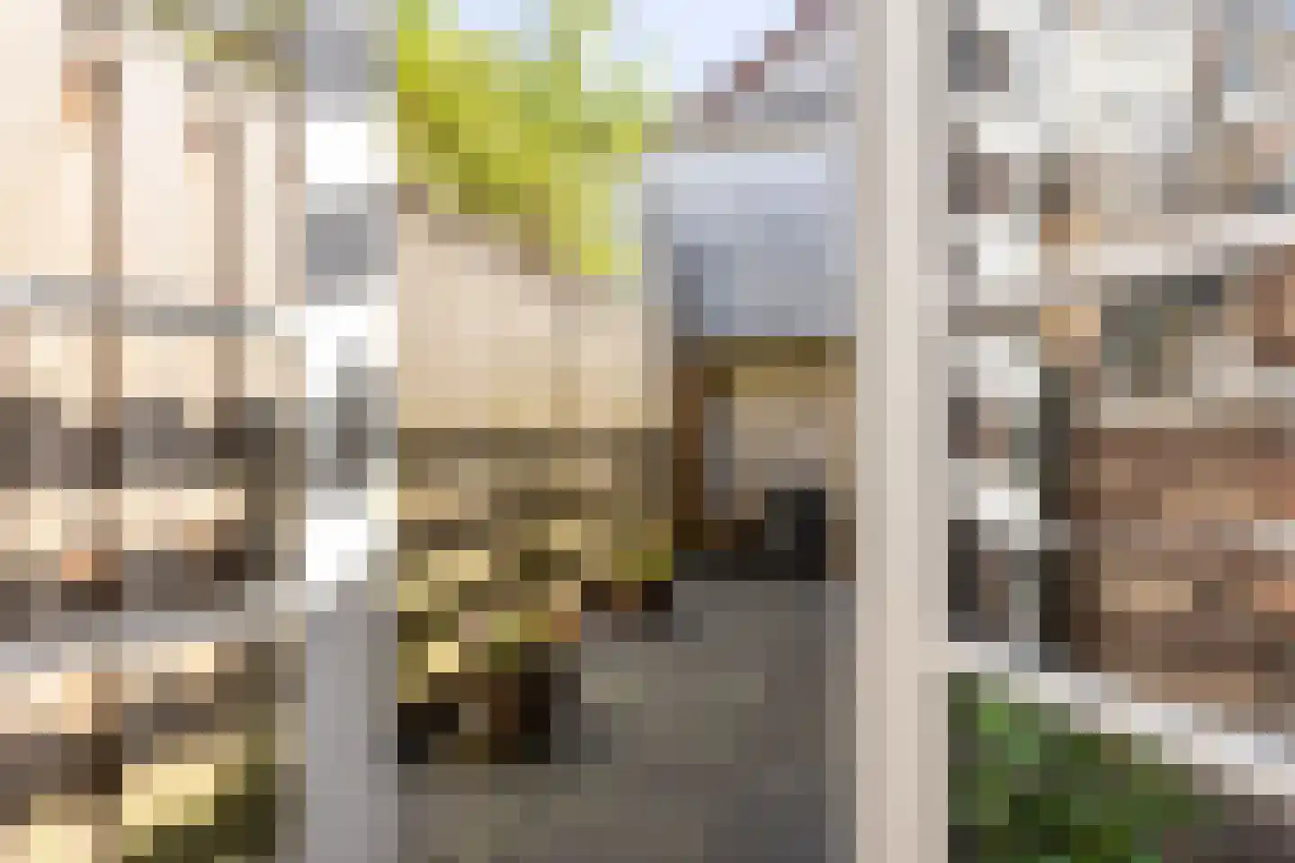 Koestraat 47 Schoonhoven thumbnail 52