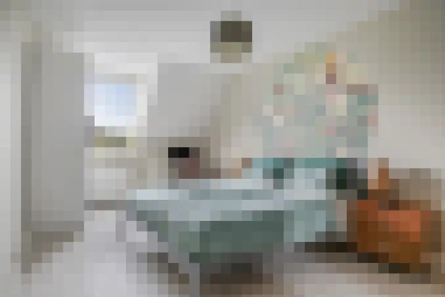 Koestraat 49 Asten thumbnail 19