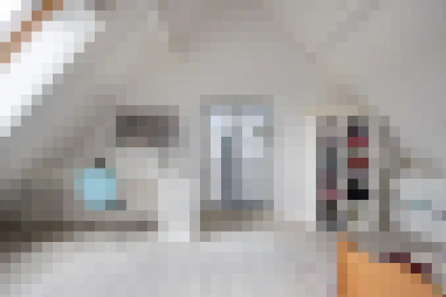 Koestraat 49 Asten thumbnail 24