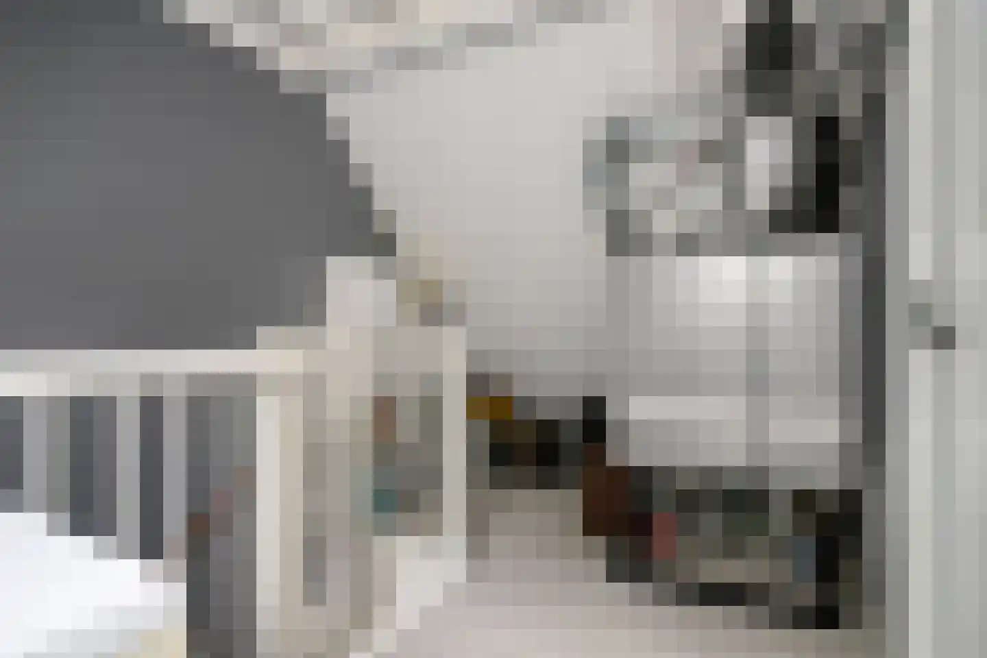 Koestraat 49 Asten thumbnail 27