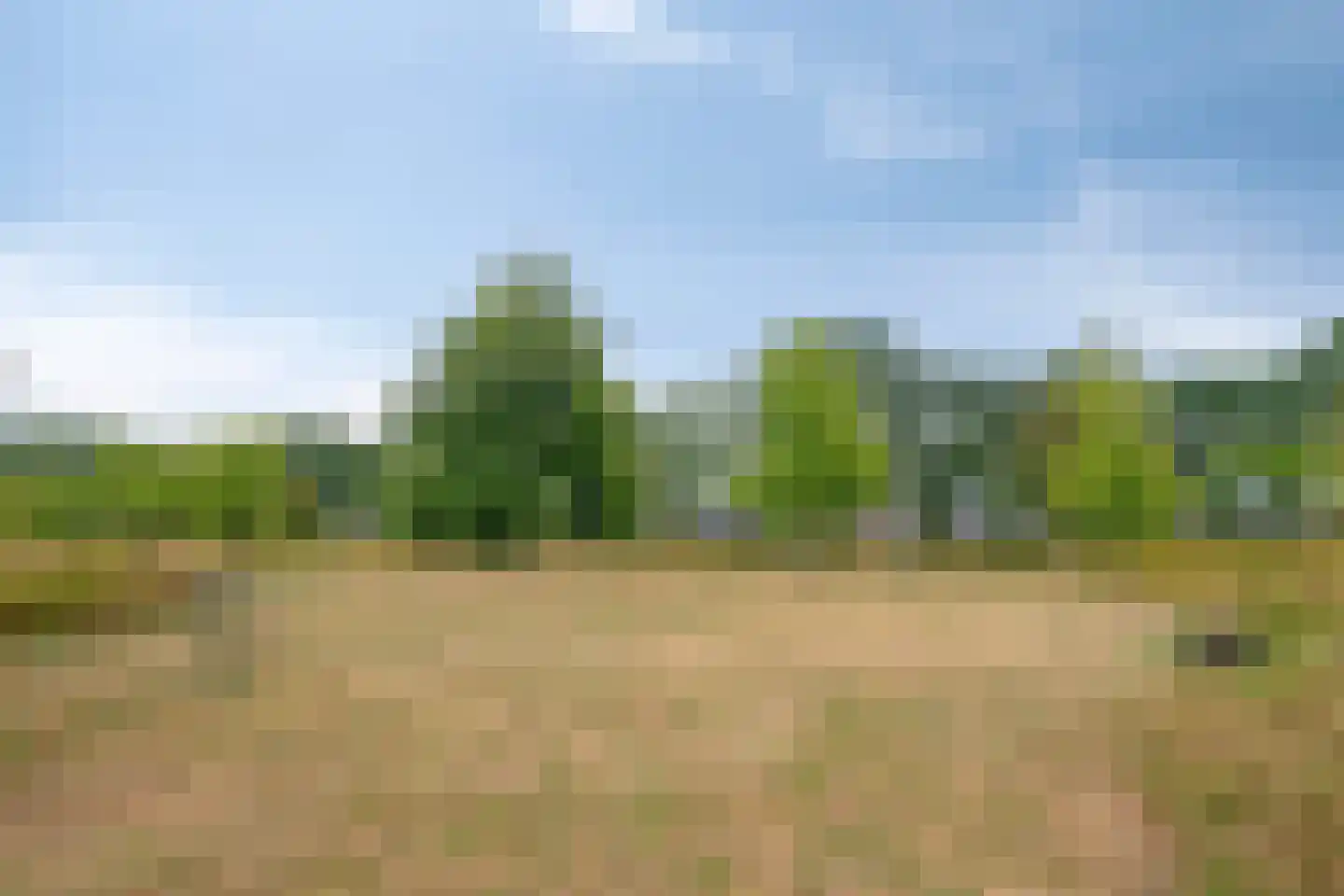Koestraat 49 Asten thumbnail 40