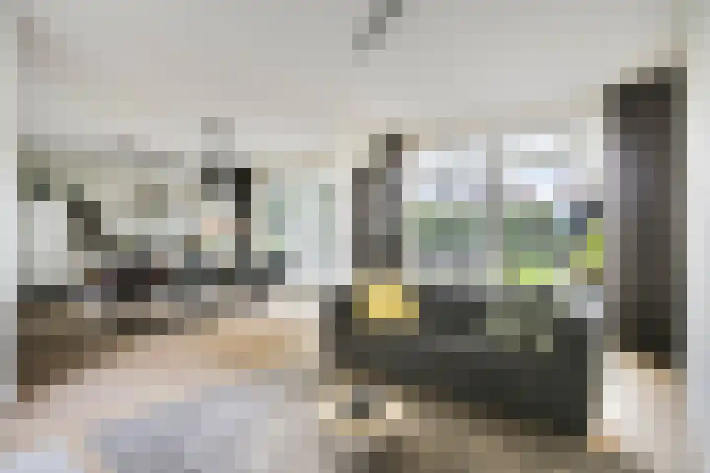 Koestraat 49 Asten thumbnail 6