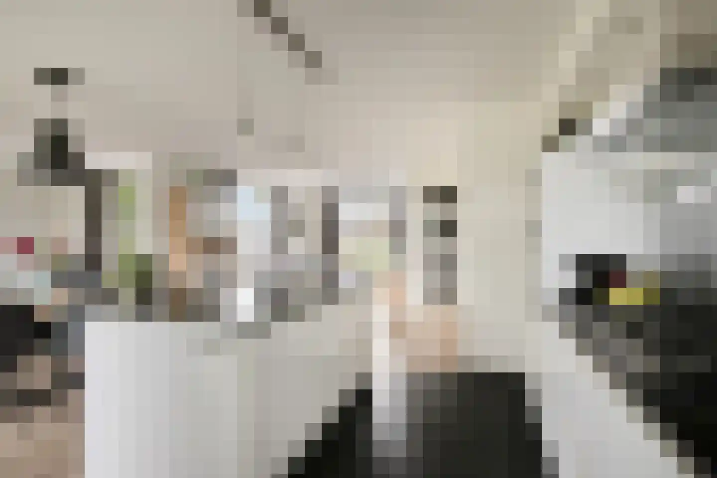 Koestraat 49 Asten thumbnail 9