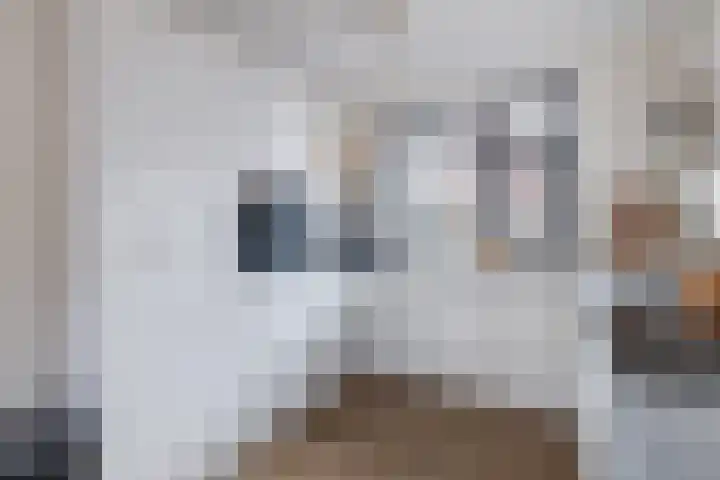 Koestraat 5 Wijhe thumbnail 10