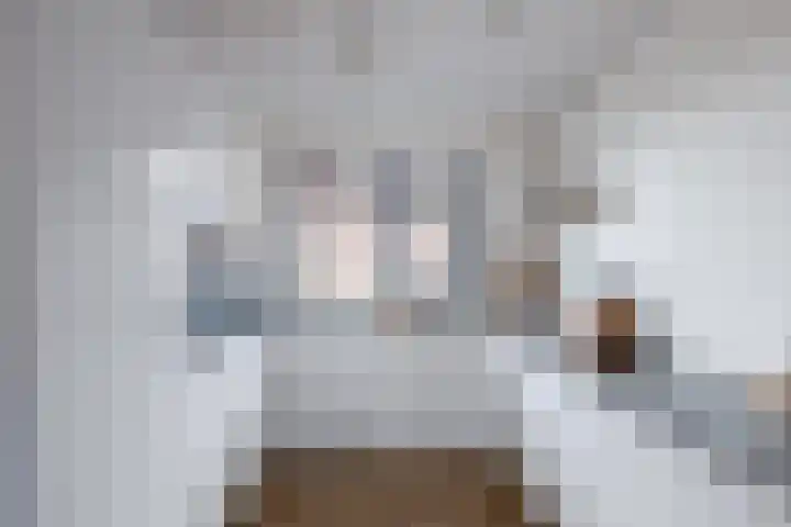 Koestraat 5 Wijhe thumbnail 11