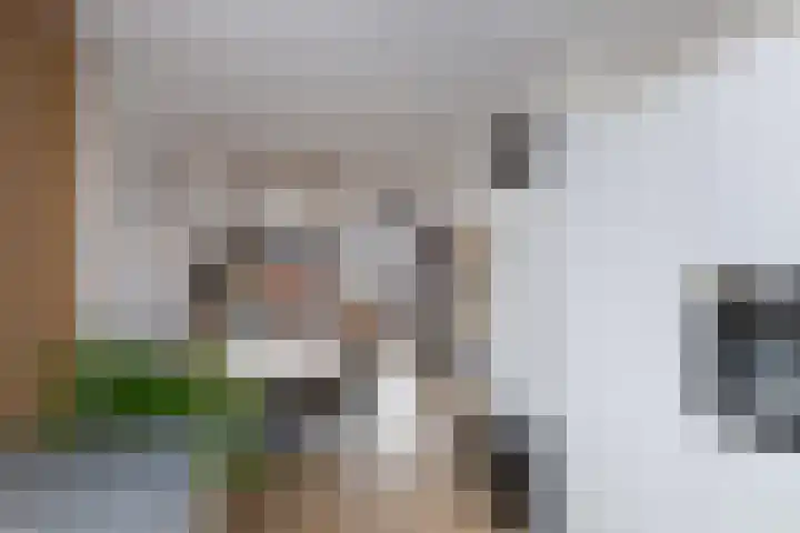 Koestraat 5 Wijhe thumbnail 12