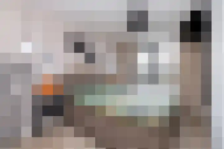 Koestraat 5 Wijhe thumbnail 14