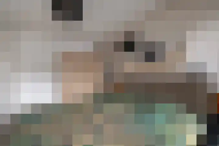 Koestraat 5 Wijhe thumbnail 15