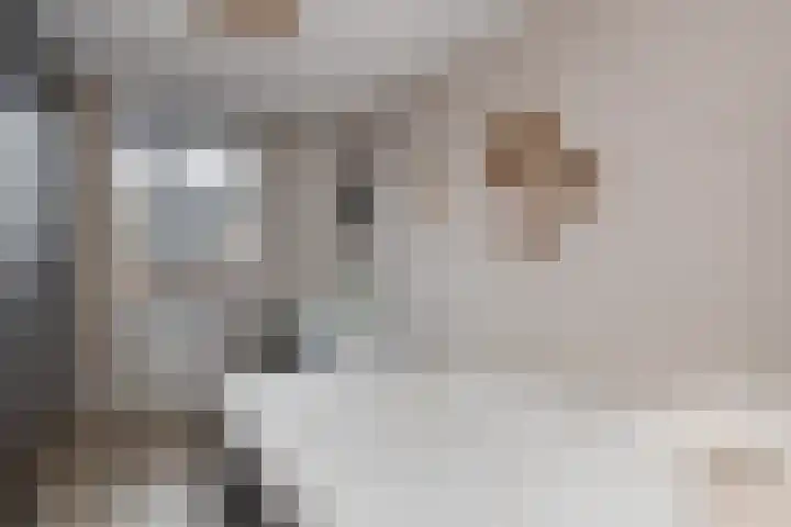 Koestraat 5 Wijhe thumbnail 16