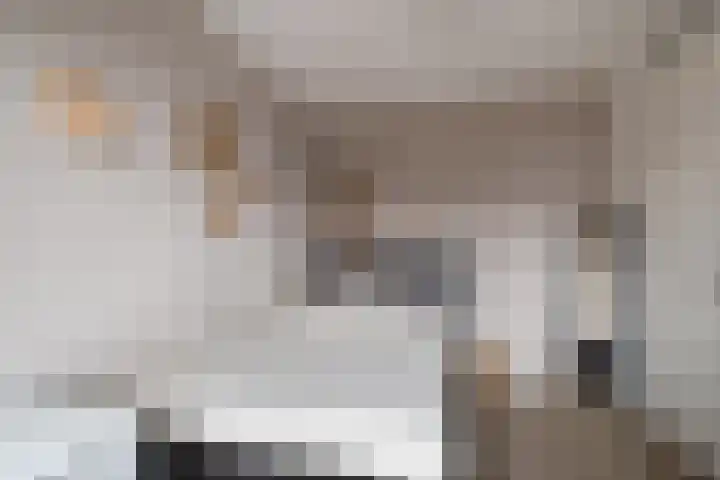 Koestraat 5 Wijhe thumbnail 17