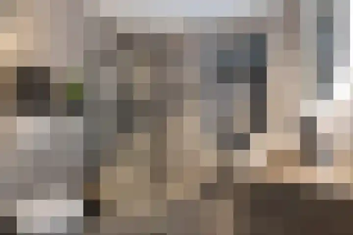 Koestraat 5 Wijhe thumbnail 20