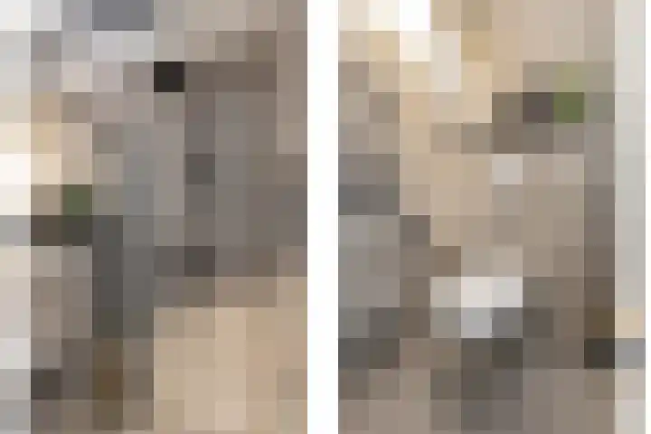 Koestraat 5 Wijhe thumbnail 22