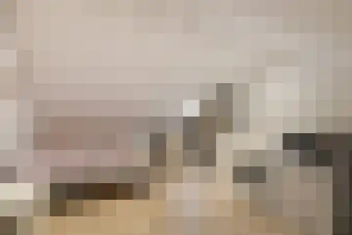 Koestraat 5 Wijhe thumbnail 23