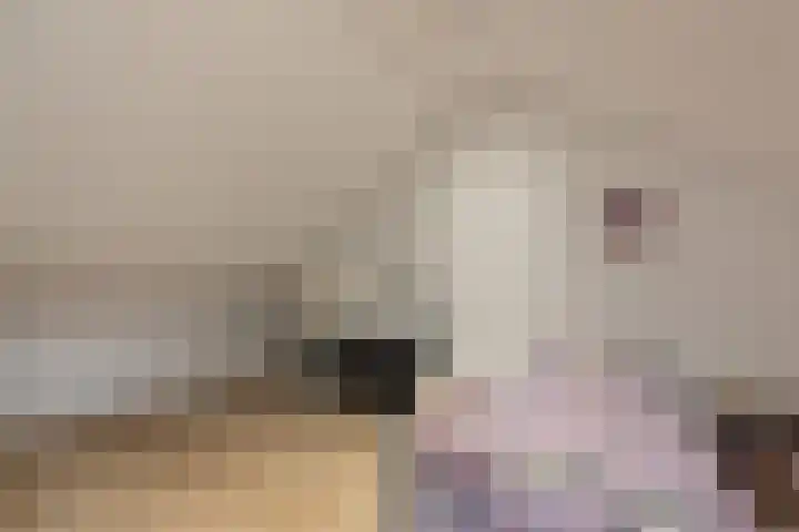 Koestraat 5 Wijhe thumbnail 24