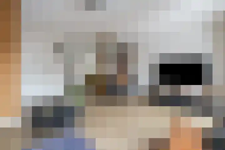 Koestraat 5 Wijhe thumbnail 6