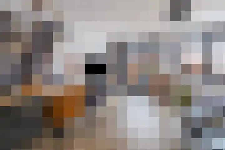 Koestraat 5 Wijhe thumbnail 7
