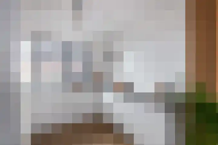 Koestraat 5 Wijhe thumbnail 9