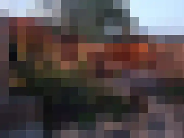 Koestraat 51 Geertruidenberg thumbnail 10