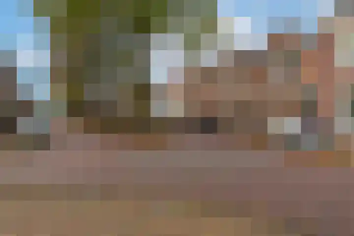 Koestraat 51 Geertruidenberg thumbnail 12