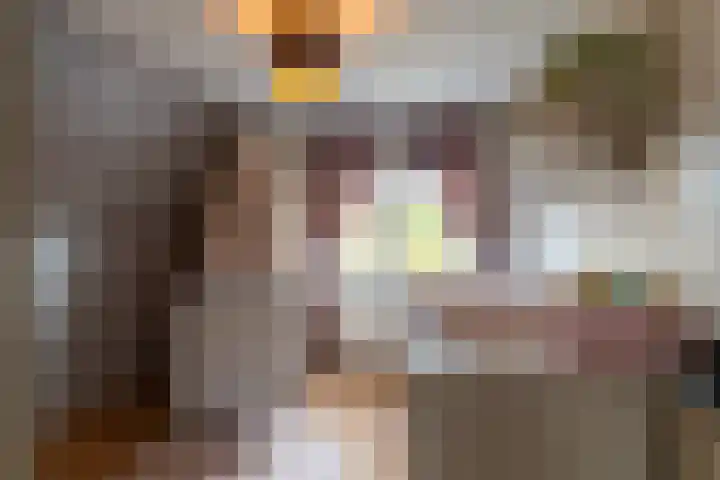 Koestraat 51 Geertruidenberg thumbnail 32