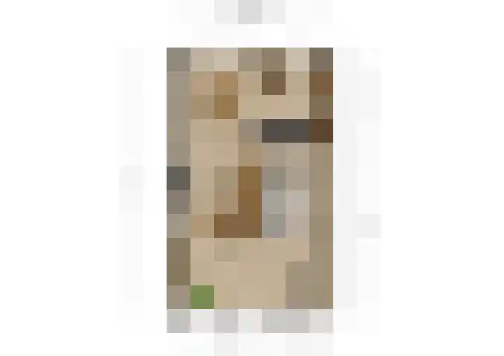 Koestraat 51 Geertruidenberg thumbnail 36