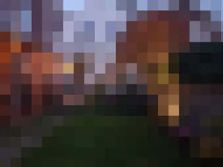 Koestraat 51 Geertruidenberg thumbnail 5