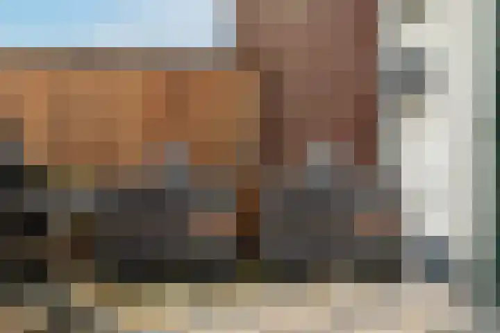 Koestraat 51 Geertruidenberg thumbnail 7