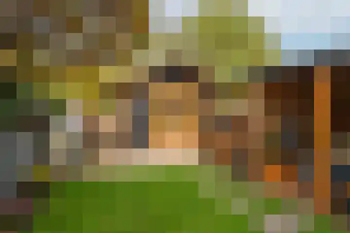 Koestraat 51 Geertruidenberg thumbnail 9